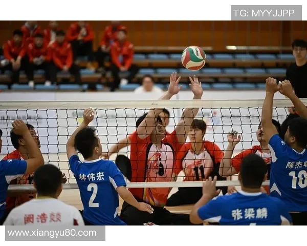 武汉排球队灵活性创新高引发全国关注排球界新标杆诞生
