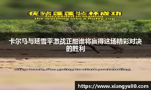 米兰·体育官方网站